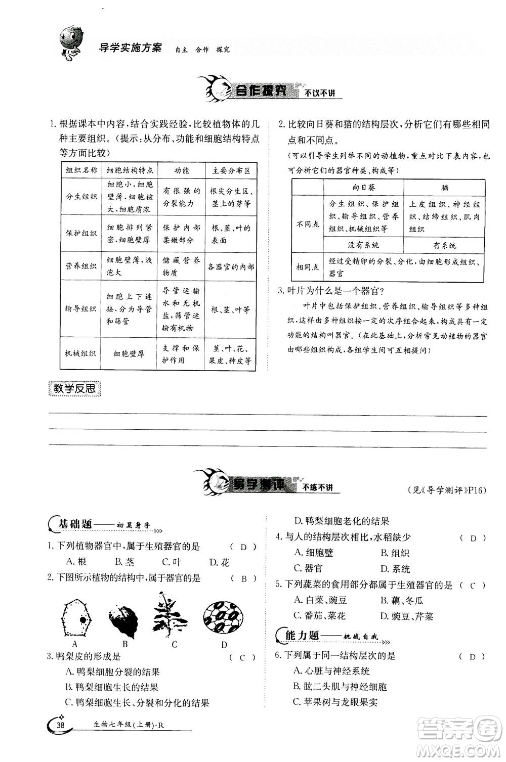 江西高校出版社2020年金太陽導(dǎo)學(xué)案生物七年級上冊人教版答案