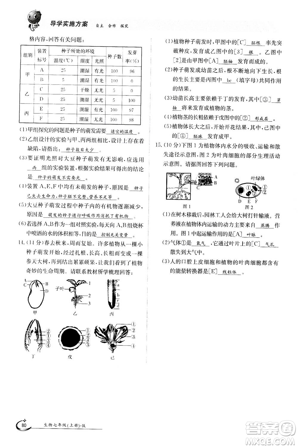 江西高校出版社2020年金太陽導(dǎo)學(xué)案生物七年級上冊人教版答案