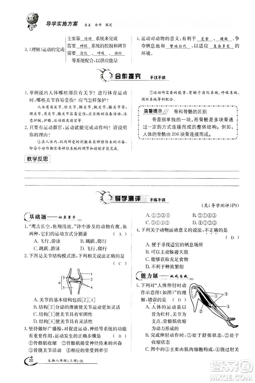 江西高校出版社2020年金太陽(yáng)導(dǎo)學(xué)案生物八年級(jí)上冊(cè)人教版答案