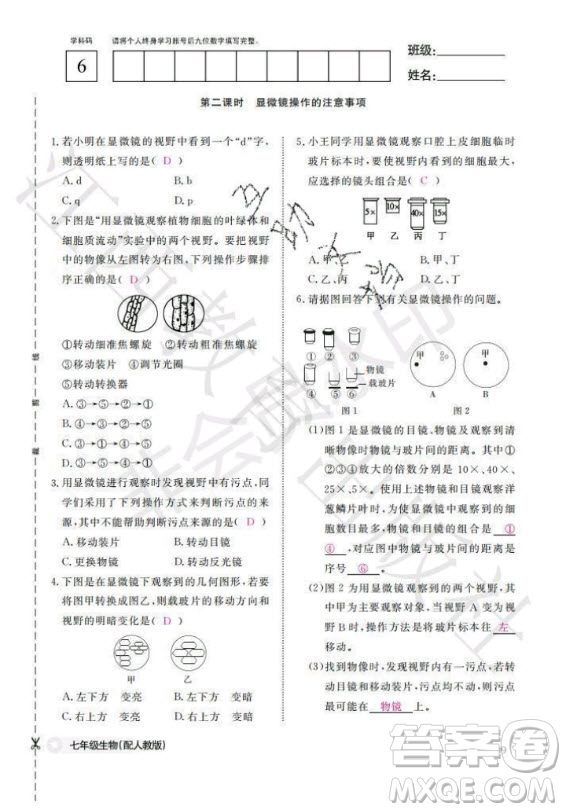 江西教育出版社2020年生物作業(yè)本七年級(jí)上冊(cè)人教版答案