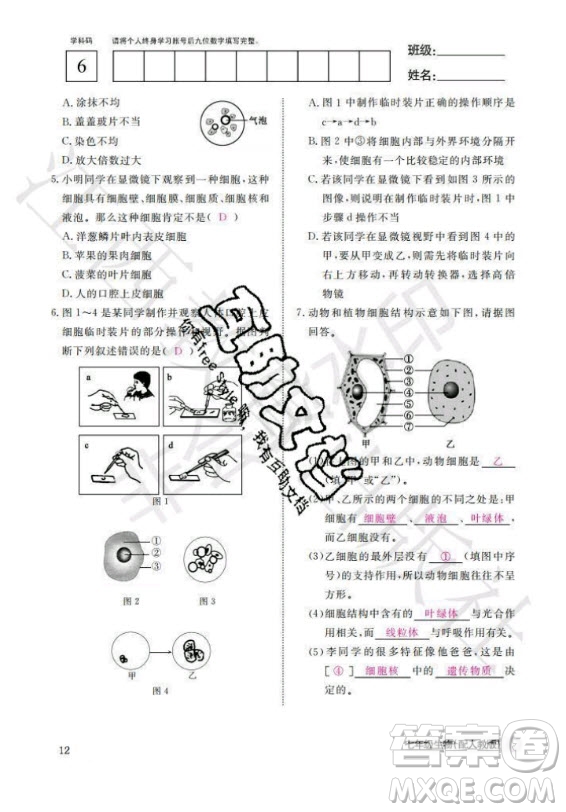 江西教育出版社2020年生物作業(yè)本七年級(jí)上冊(cè)人教版答案