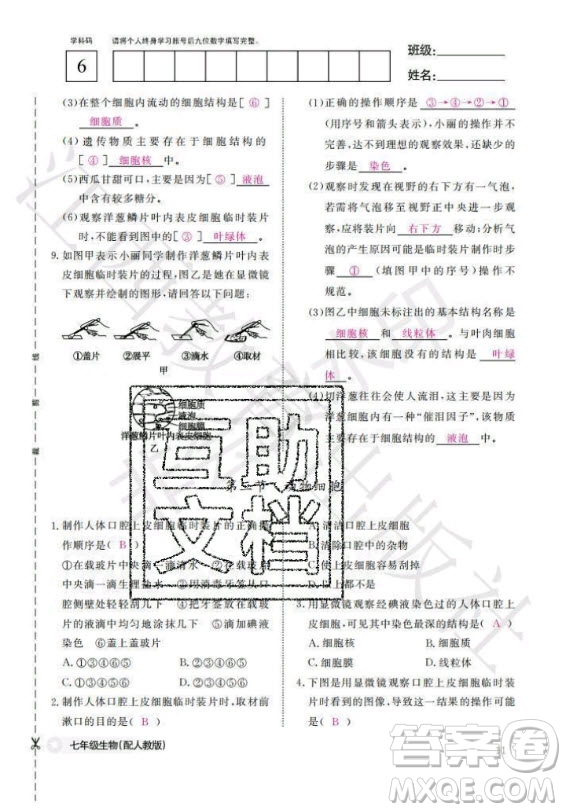 江西教育出版社2020年生物作業(yè)本七年級(jí)上冊(cè)人教版答案