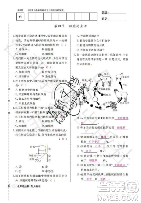 江西教育出版社2020年生物作業(yè)本七年級(jí)上冊(cè)人教版答案