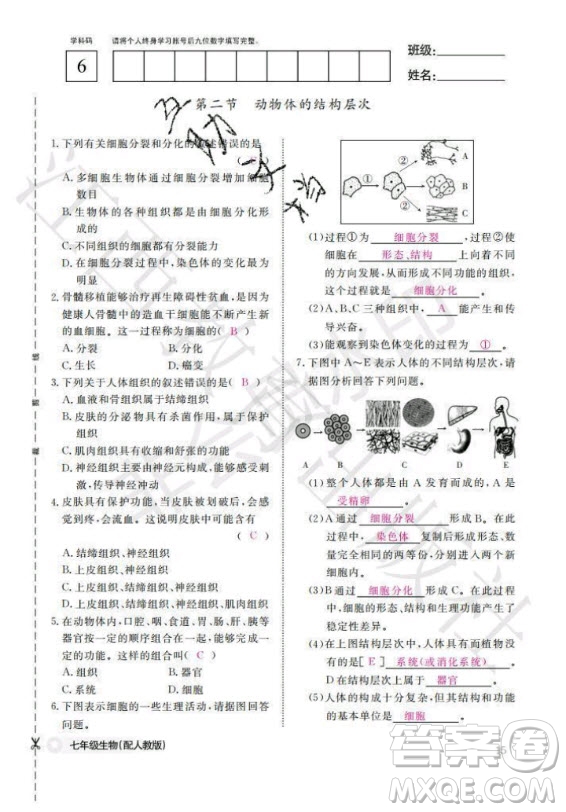 江西教育出版社2020年生物作業(yè)本七年級(jí)上冊(cè)人教版答案