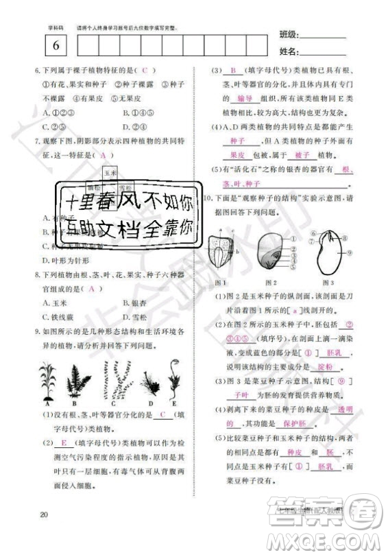 江西教育出版社2020年生物作業(yè)本七年級(jí)上冊(cè)人教版答案