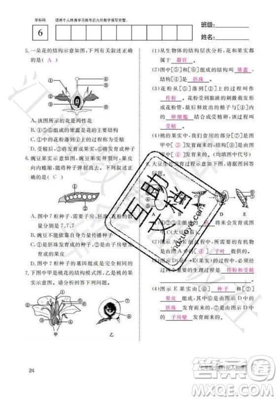 江西教育出版社2020年生物作業(yè)本七年級(jí)上冊(cè)人教版答案