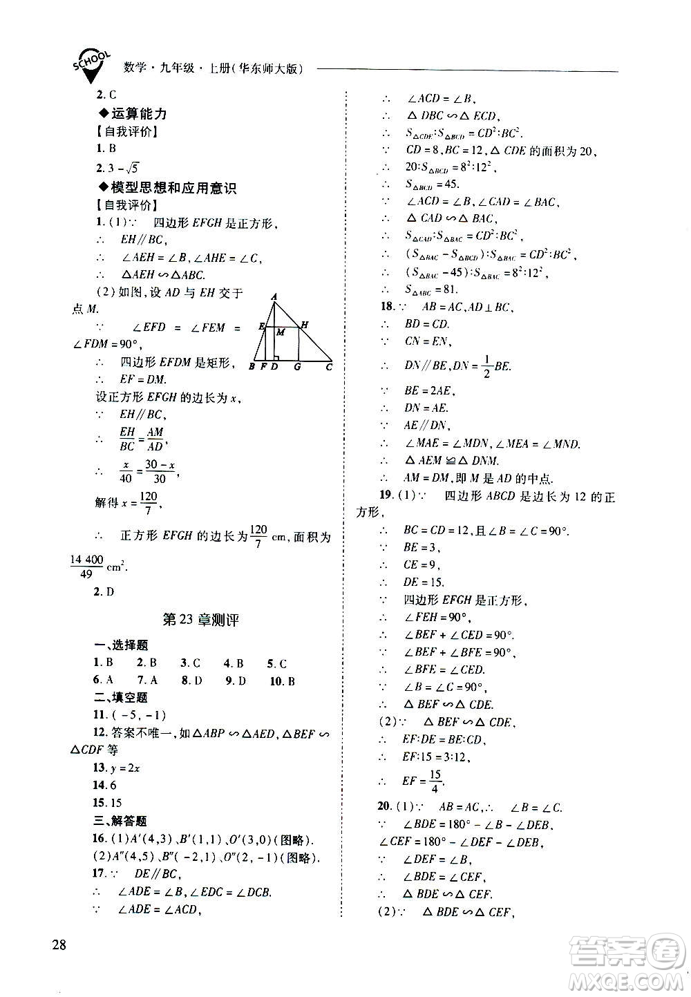 2020年新課程問題解決導(dǎo)學(xué)方案數(shù)學(xué)九年級上冊華東師大版答案