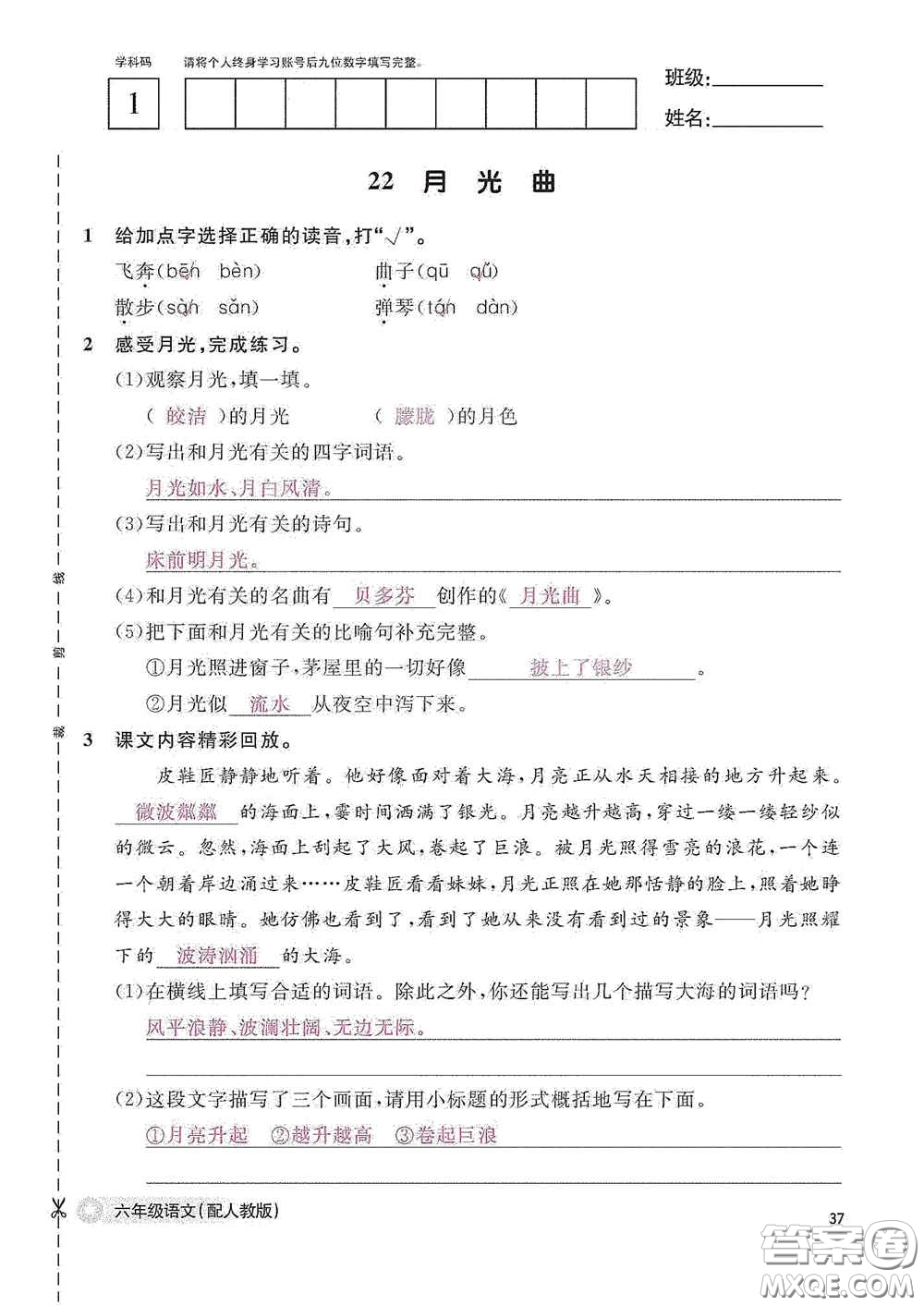 江西教育出版社2020語(yǔ)文作業(yè)本六年級(jí)語(yǔ)文上冊(cè)人教版答案