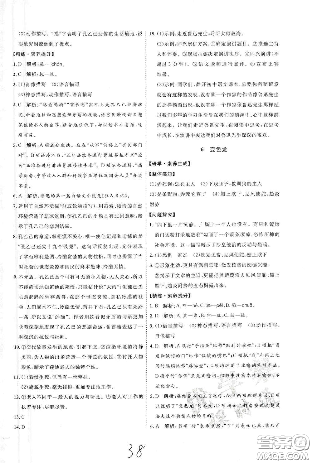 延邊教育出版社2020優(yōu)學(xué)案課時通九年級語文全一冊人教版云南專用答案