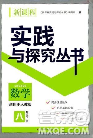 四川教育出版社2020年新課程實(shí)踐與探究叢書數(shù)學(xué)八年級(jí)上冊(cè)人教版答案