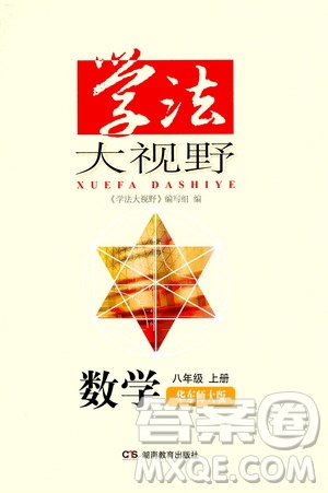 湖南教育出版社2020年學(xué)法大視野數(shù)學(xué)八年級(jí)上冊(cè)華東師大版答案