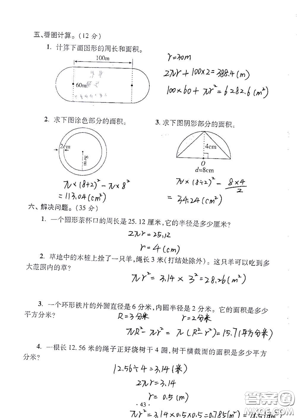 青島出版社2020單元自測試卷六年級數(shù)學上冊人教版答案