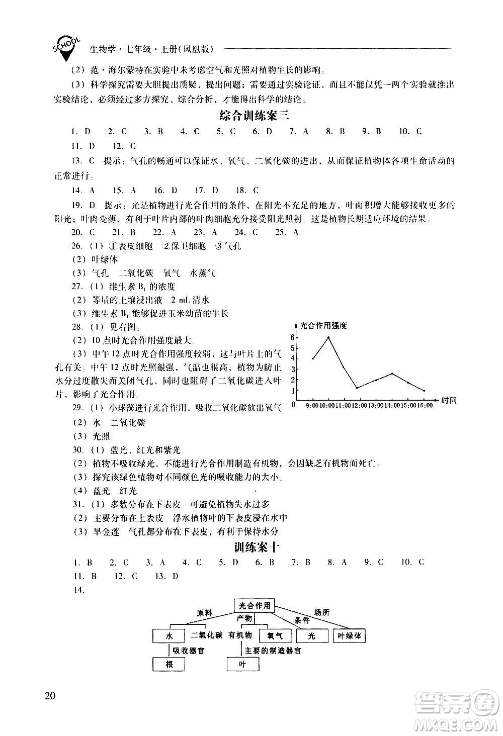 2020秋新課程問(wèn)題解決導(dǎo)學(xué)方案七年級(jí)生物學(xué)上冊(cè)鳳凰版參考答案