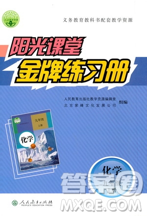 人民教育出版社2020年陽光課堂金牌練習冊化學九年級上冊人教版答案