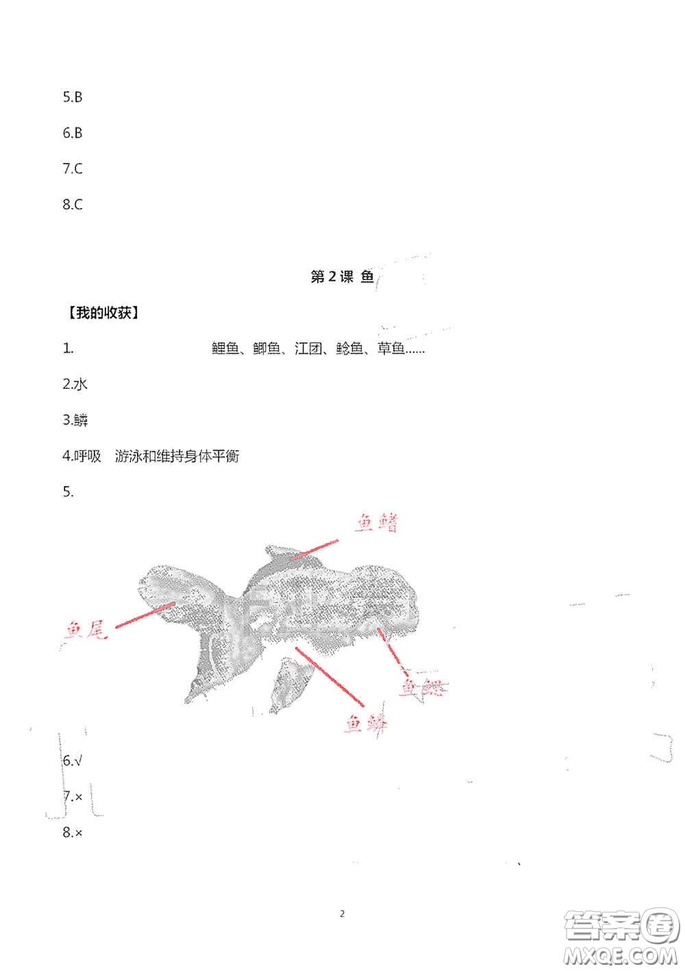 山東美術(shù)出版社2020新課堂同步體驗(yàn)與探究四年級科學(xué)上學(xué)期人教版答案