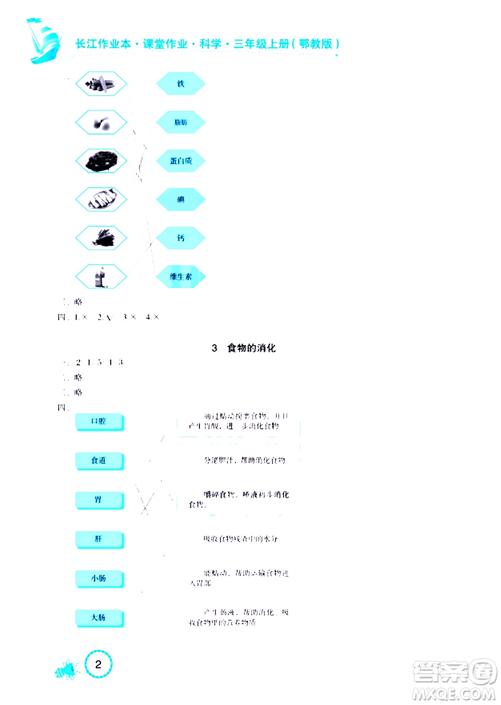 湖北教育出版社2020年長(zhǎng)江作業(yè)本課堂作業(yè)科學(xué)三年級(jí)上冊(cè)鄂教版答案