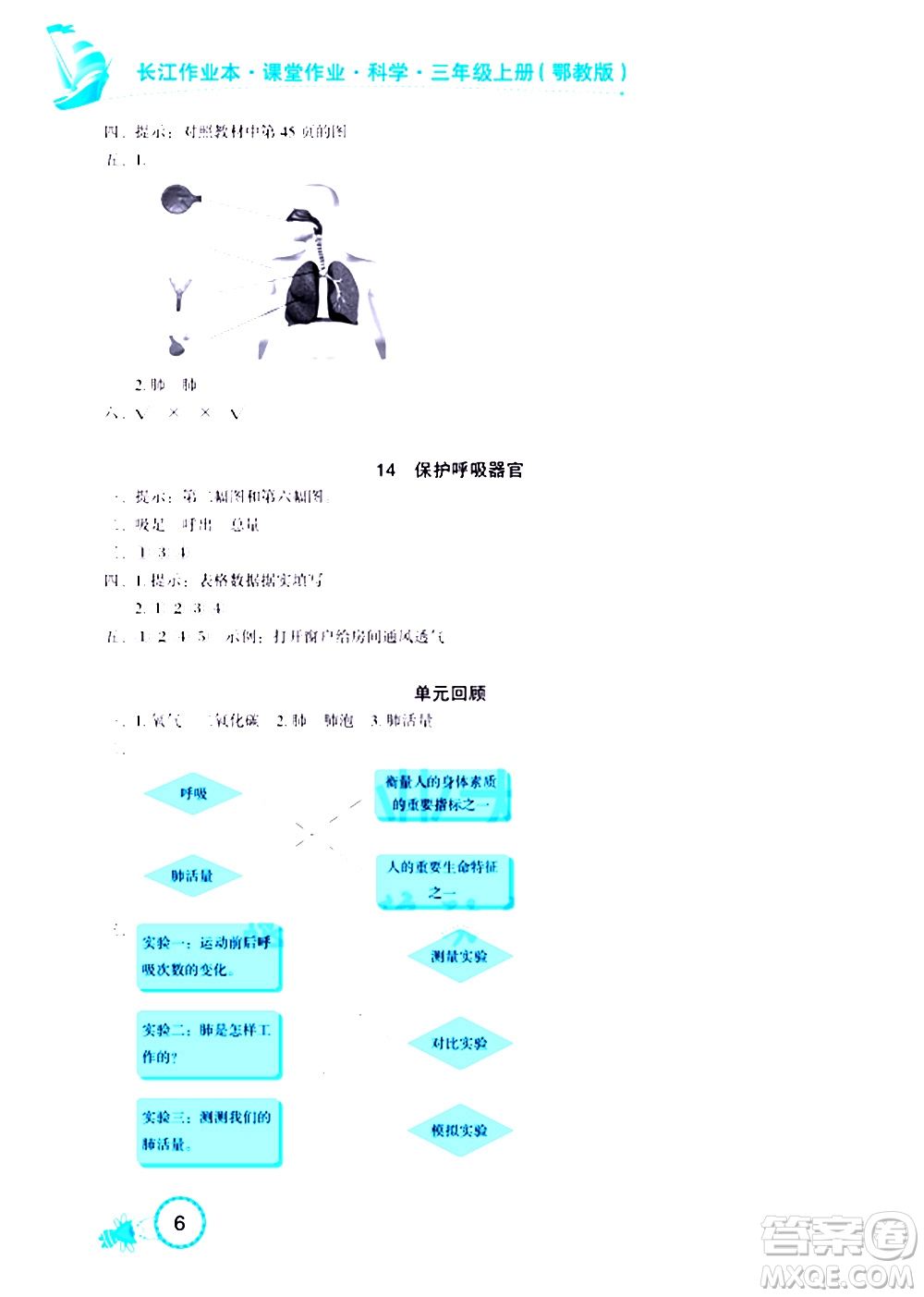 湖北教育出版社2020年長(zhǎng)江作業(yè)本課堂作業(yè)科學(xué)三年級(jí)上冊(cè)鄂教版答案