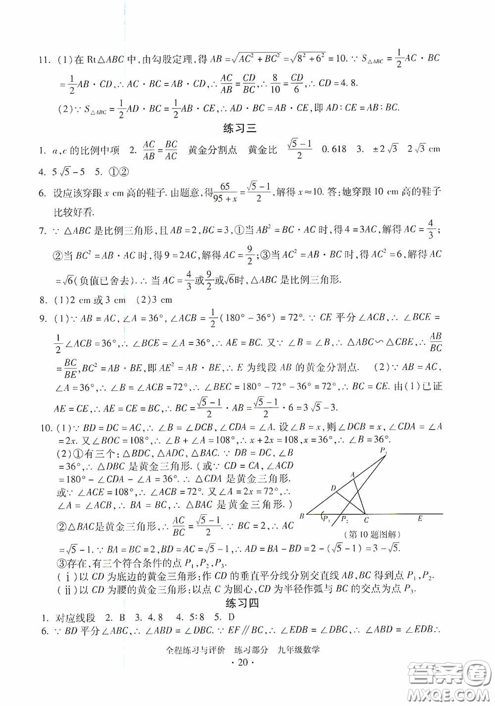 浙江人民出版社2020全程練習(xí)與評(píng)價(jià)九年級(jí)數(shù)學(xué)全一冊(cè)ZH版答案