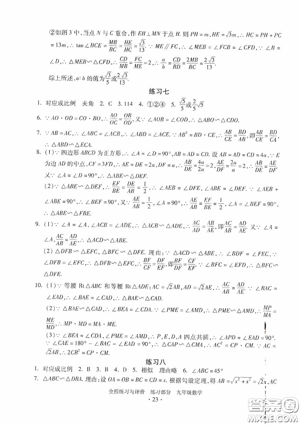 浙江人民出版社2020全程練習(xí)與評(píng)價(jià)九年級(jí)數(shù)學(xué)全一冊(cè)ZH版答案