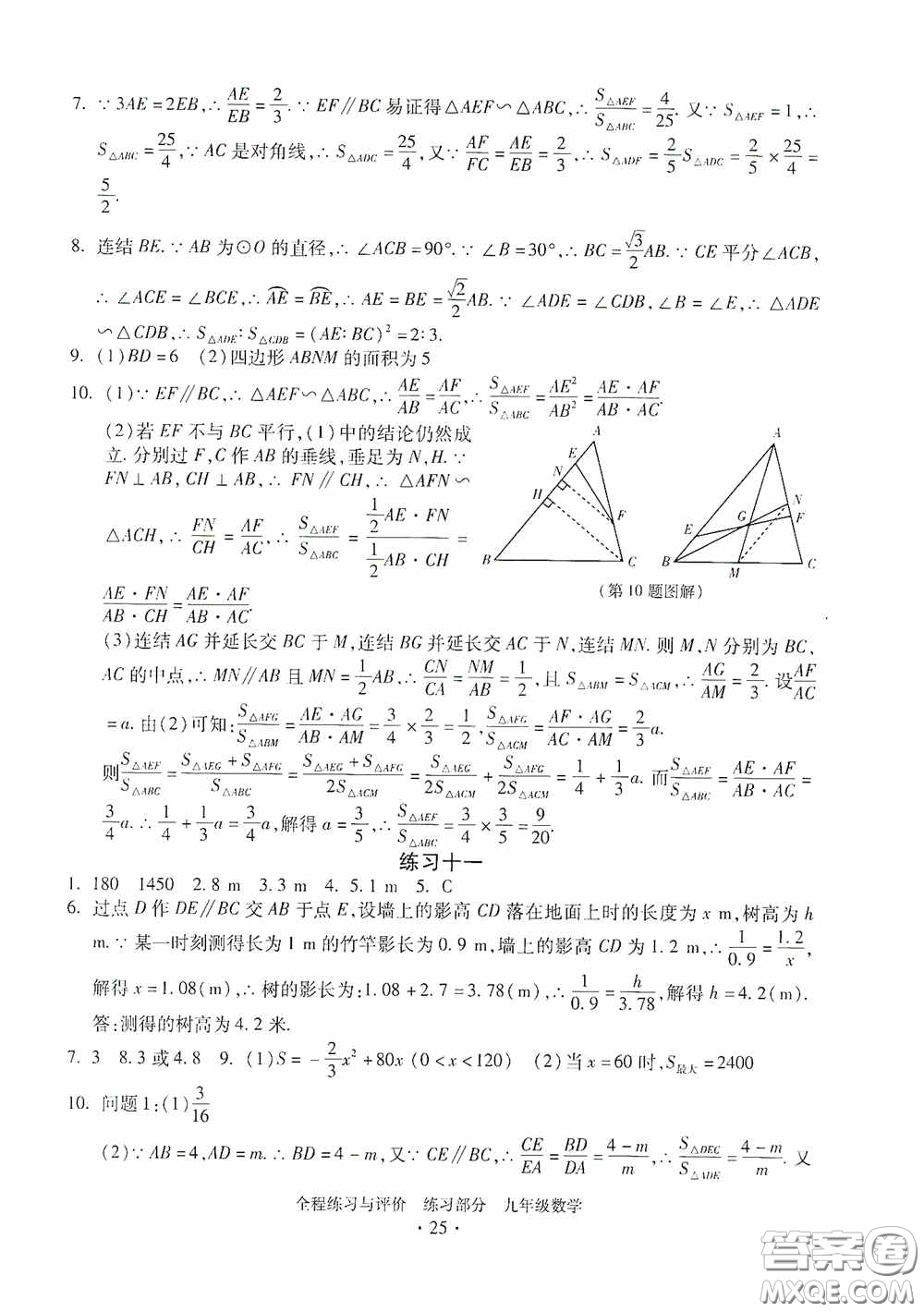 浙江人民出版社2020全程練習(xí)與評(píng)價(jià)九年級(jí)數(shù)學(xué)全一冊(cè)ZH版答案