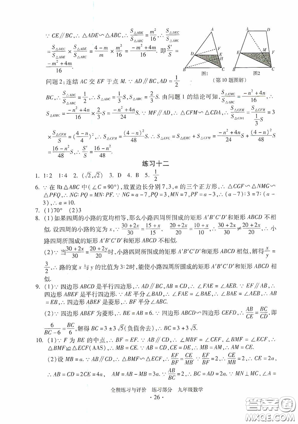 浙江人民出版社2020全程練習(xí)與評(píng)價(jià)九年級(jí)數(shù)學(xué)全一冊(cè)ZH版答案