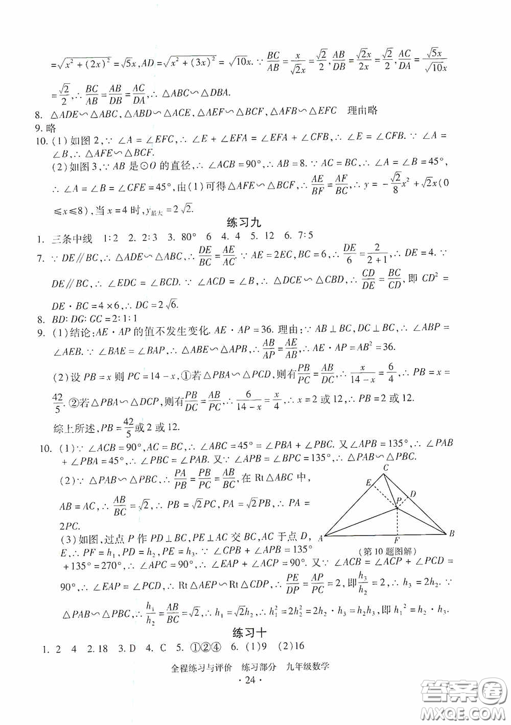 浙江人民出版社2020全程練習(xí)與評(píng)價(jià)九年級(jí)數(shù)學(xué)全一冊(cè)ZH版答案