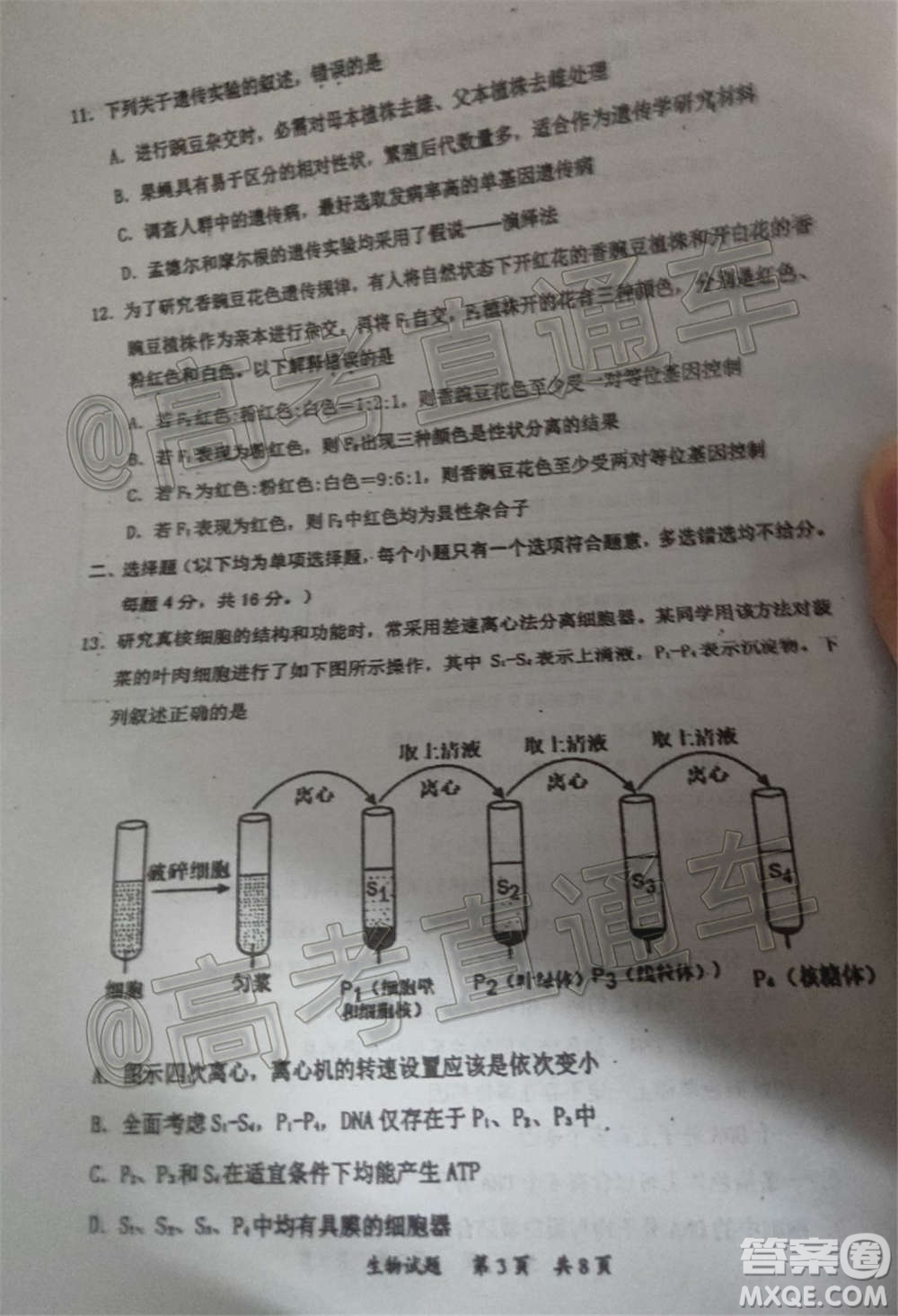 惠州市2021屆高三第二次調(diào)研考試生物試題及答案