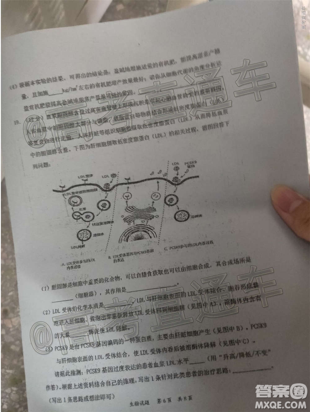 惠州市2021屆高三第二次調(diào)研考試生物試題及答案