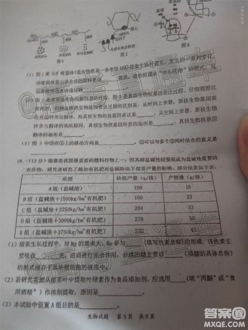 惠州市2021屆高三第二次調(diào)研考試生物試題及答案