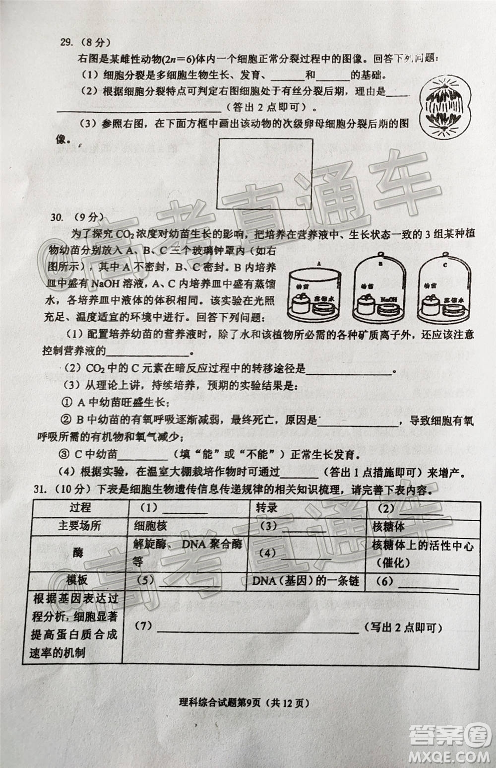 綿陽市高中2018級第一次診斷性考試理科綜合試題及答案