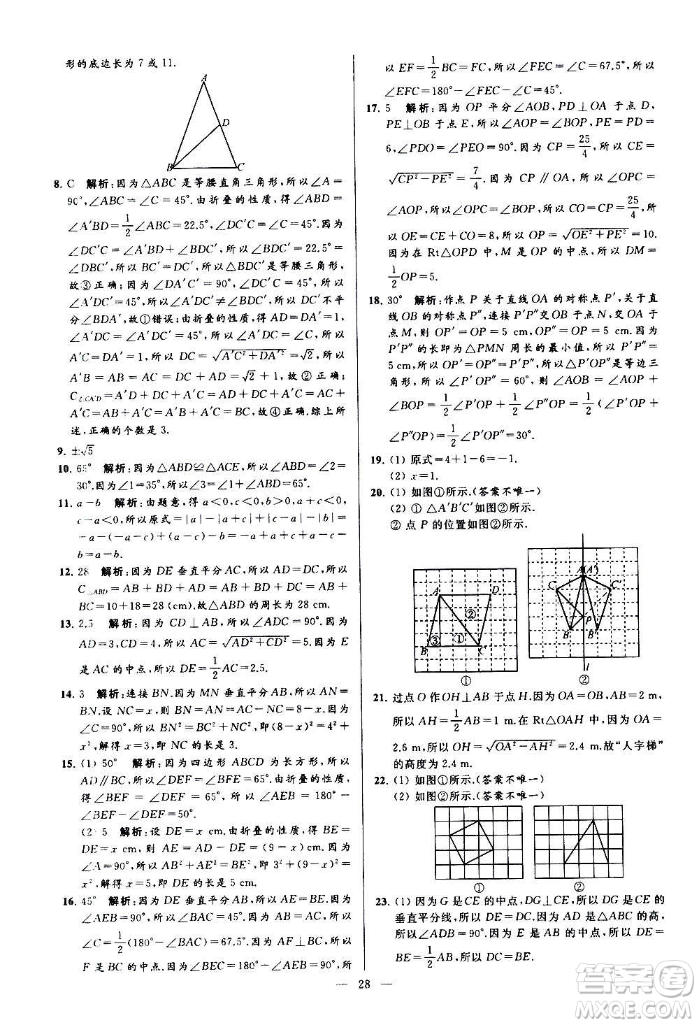 新世紀出版社2020秋季亮點給力大試卷數(shù)學(xué)八年級上冊蘇教版答案