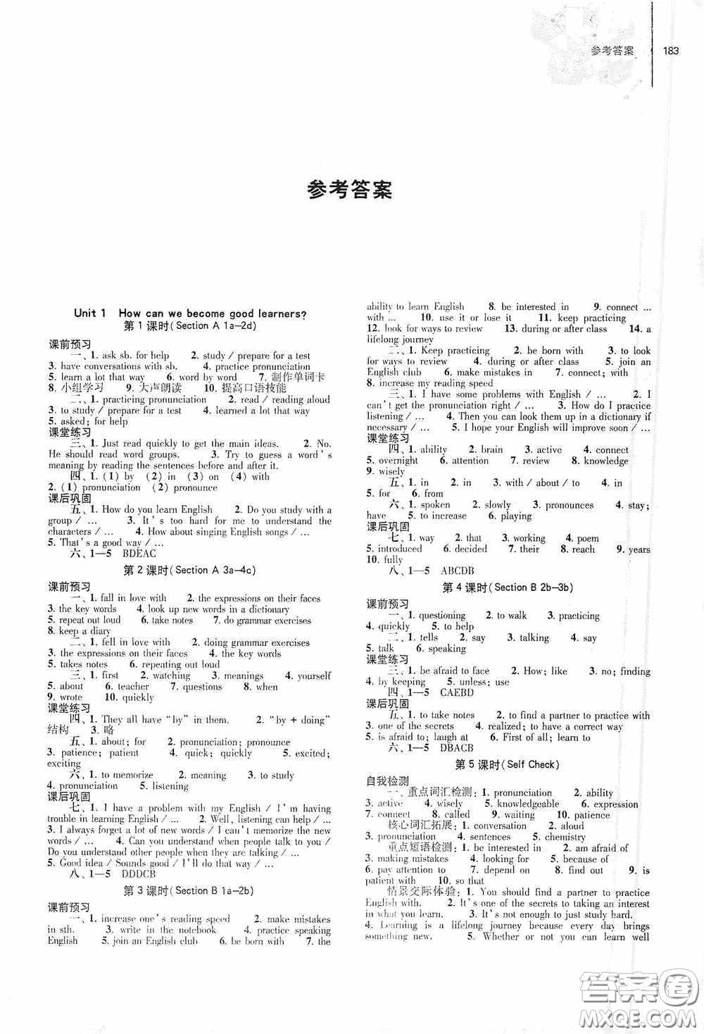 大象出版社2020初中同步練習冊九年級英語全一冊人教版答案