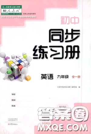 大象出版社2020初中同步練習冊九年級英語全一冊人教版答案