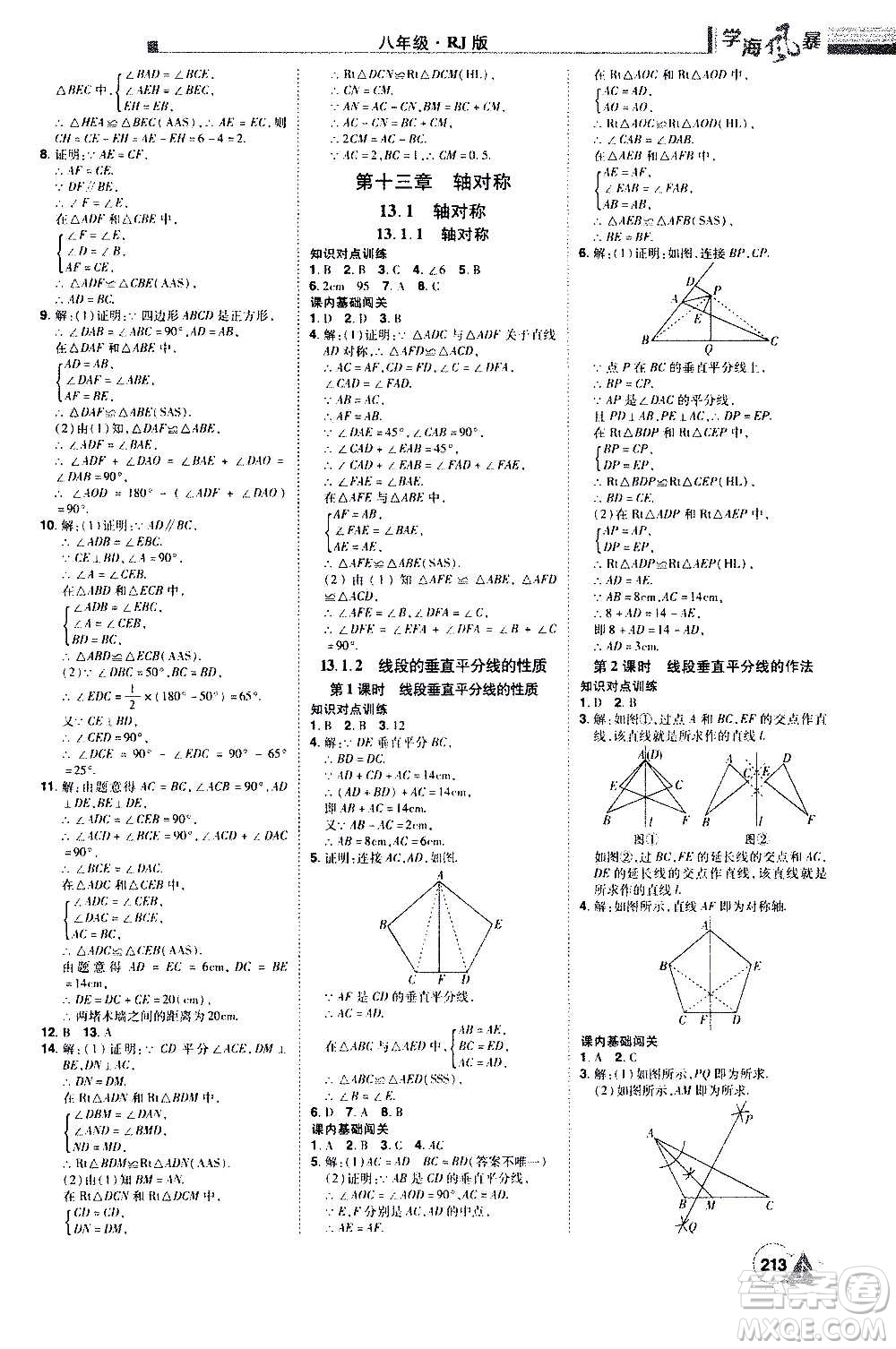 江西美術(shù)出版社2020學(xué)海風(fēng)暴數(shù)學(xué)八年級(jí)上冊RJ人教版答案