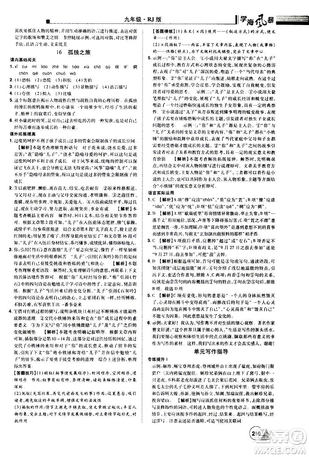 江西美術(shù)出版社2020學(xué)海風(fēng)暴語(yǔ)文九年級(jí)上冊(cè)RJ人教版答案