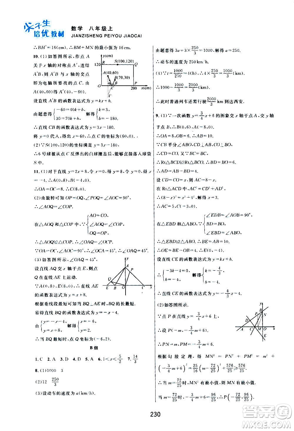 浙江教育出版社2020尖子生培優(yōu)教材八年級上冊數(shù)學(xué)浙教版雙色版答案