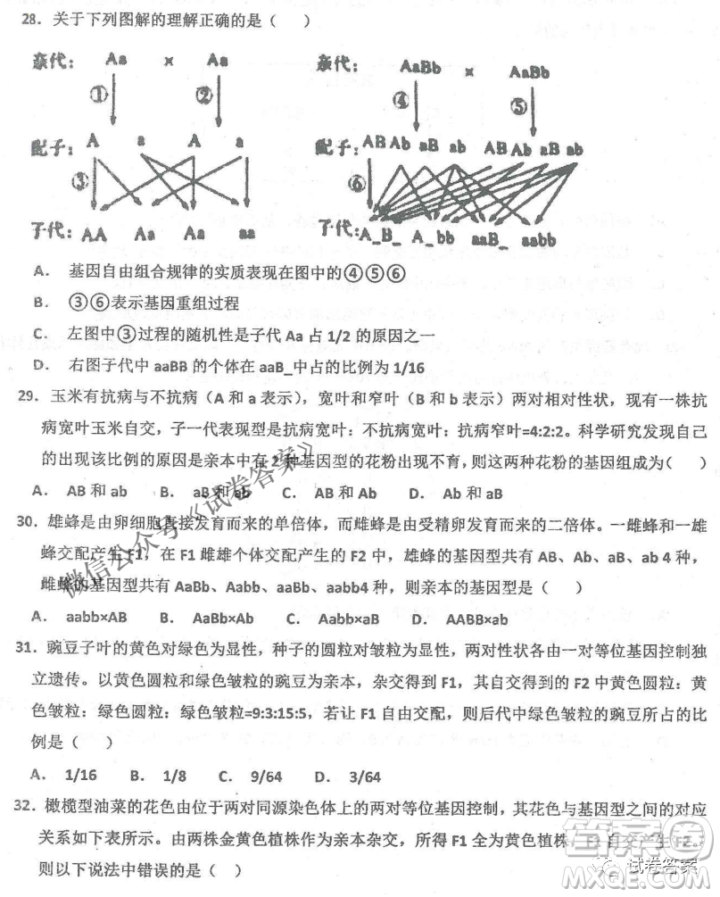 2020年衡水中學(xué)高三年級期中考試生物試卷及答案