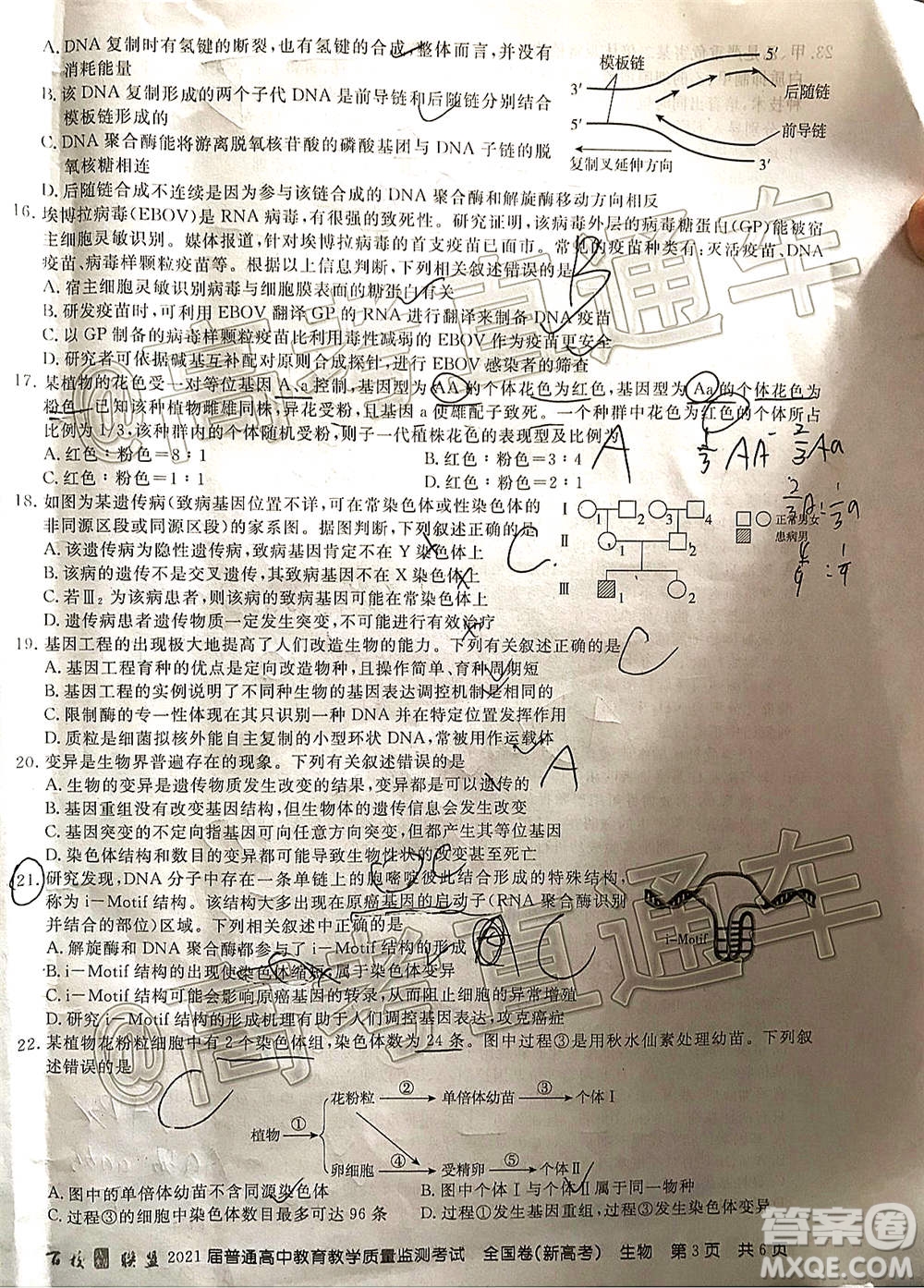 百校聯(lián)盟2021屆普通高中教育教學(xué)質(zhì)量監(jiān)測(cè)考試全國(guó)卷新高考生物試題及答案