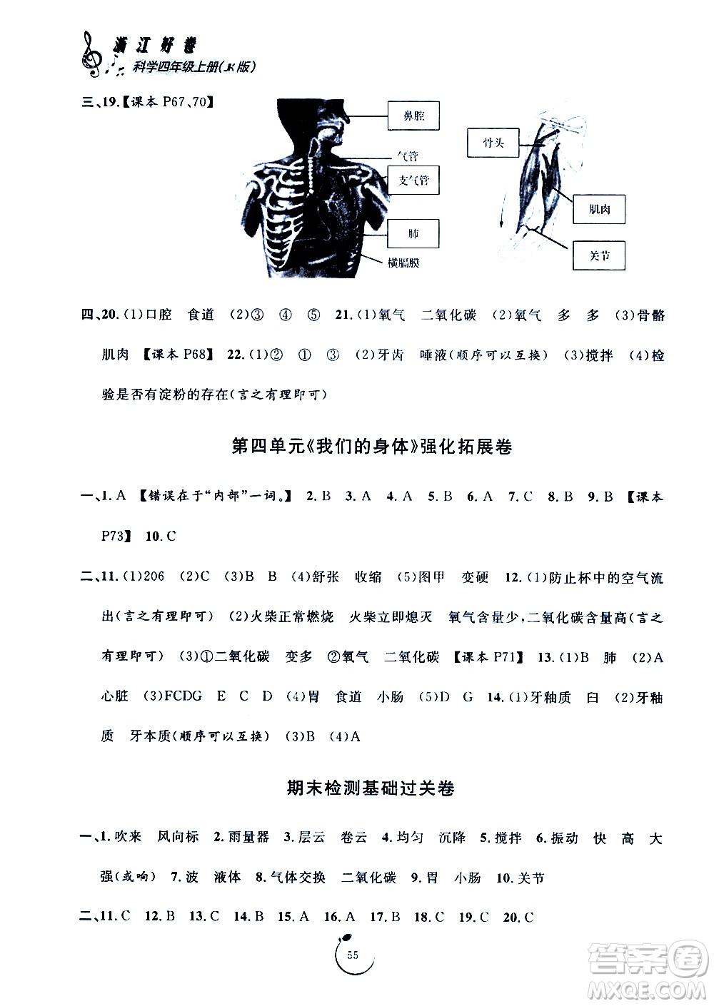 寧波出版社2020年浙江好卷科學四年級上冊JK教科版答案