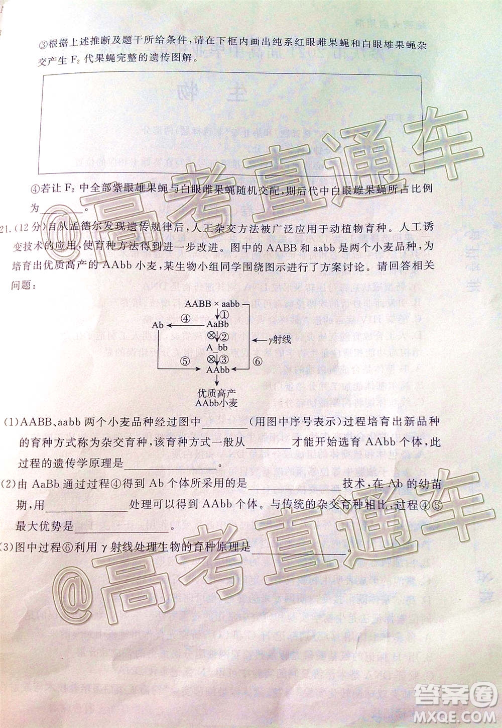 肇慶市2021屆高中畢業(yè)班第一次統(tǒng)一檢測生物試題及答案