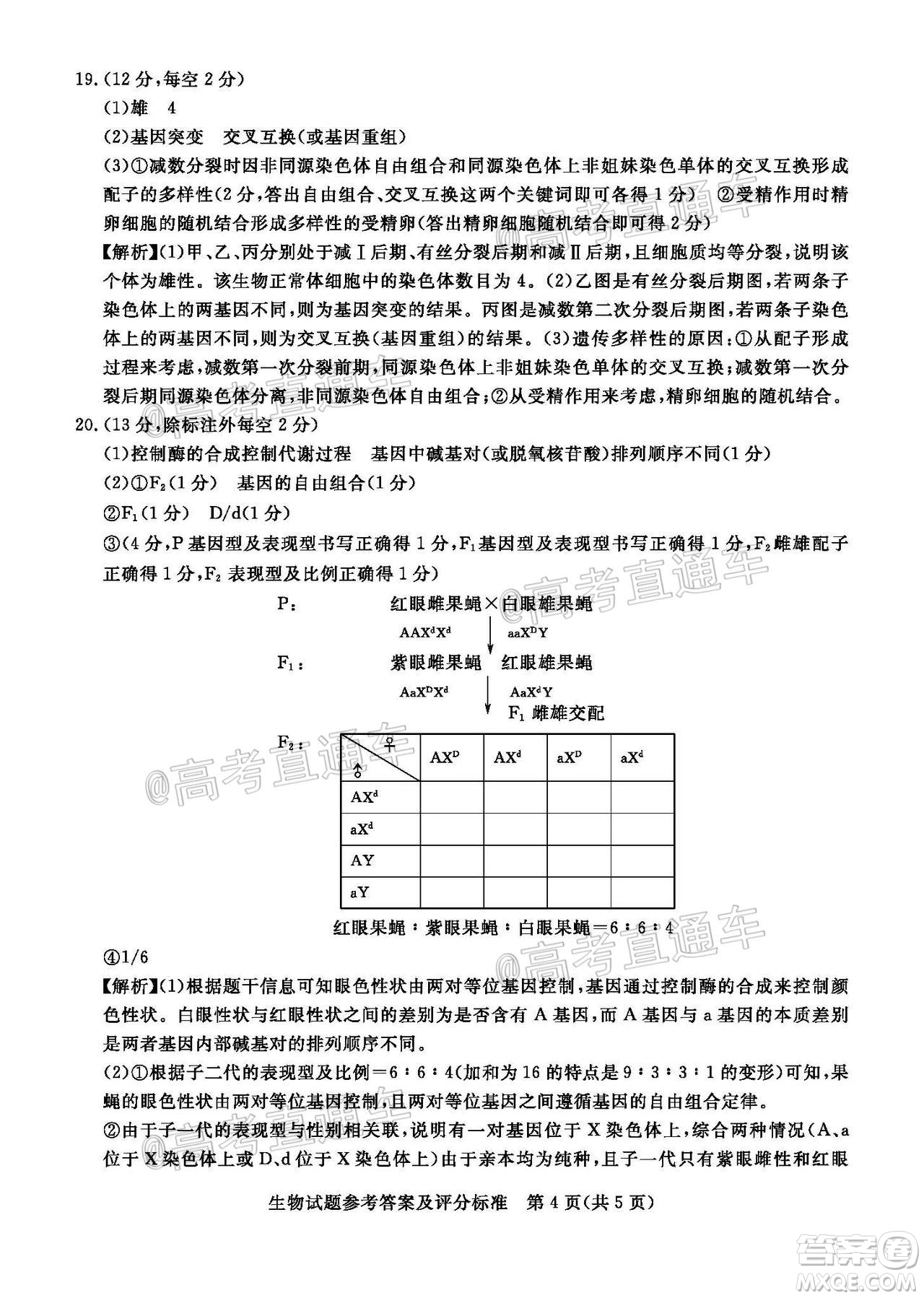 肇慶市2021屆高中畢業(yè)班第一次統(tǒng)一檢測生物試題及答案