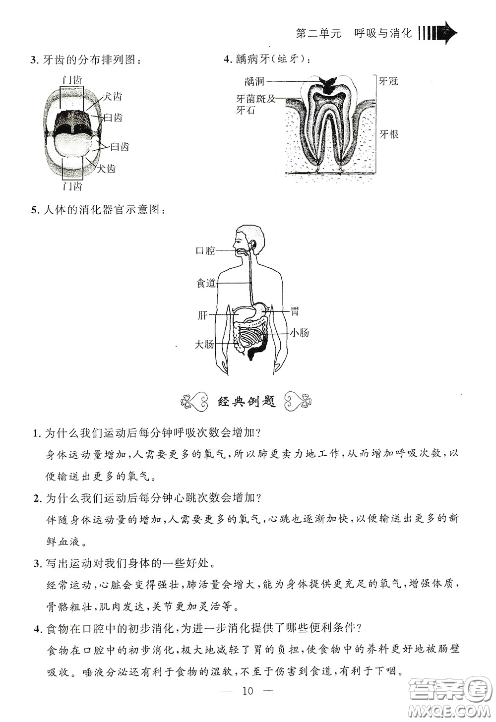 寧波出版社2020迎考復(fù)習(xí)清單四年級(jí)科學(xué)上冊(cè)答案