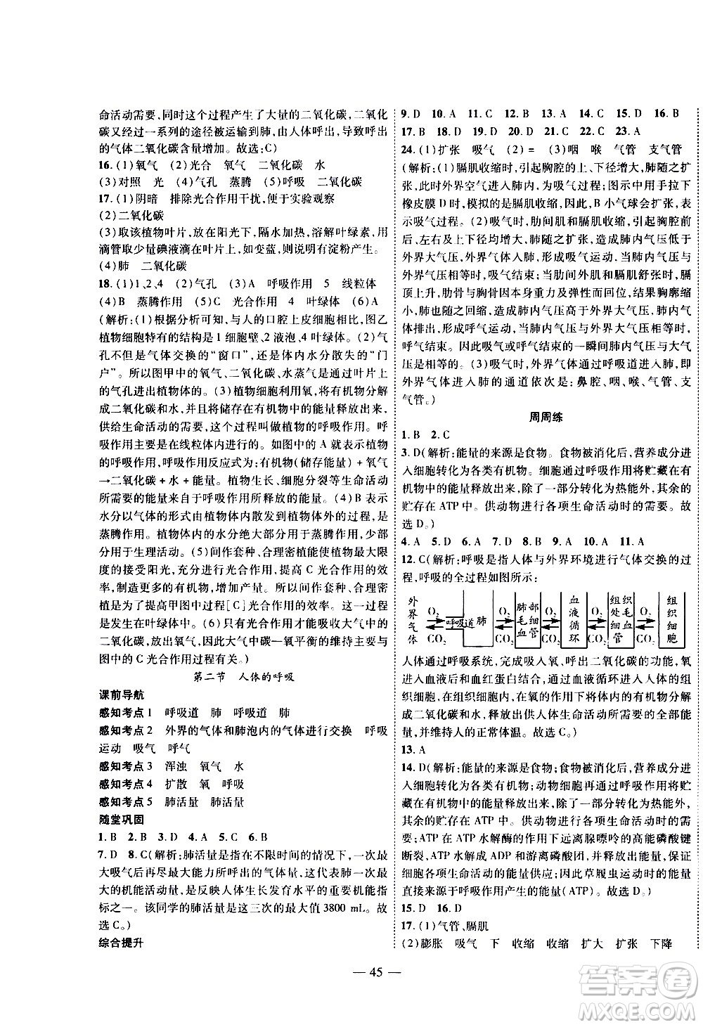 2020年新課程成長資源課時精練生物七年級上冊蘇科版答案