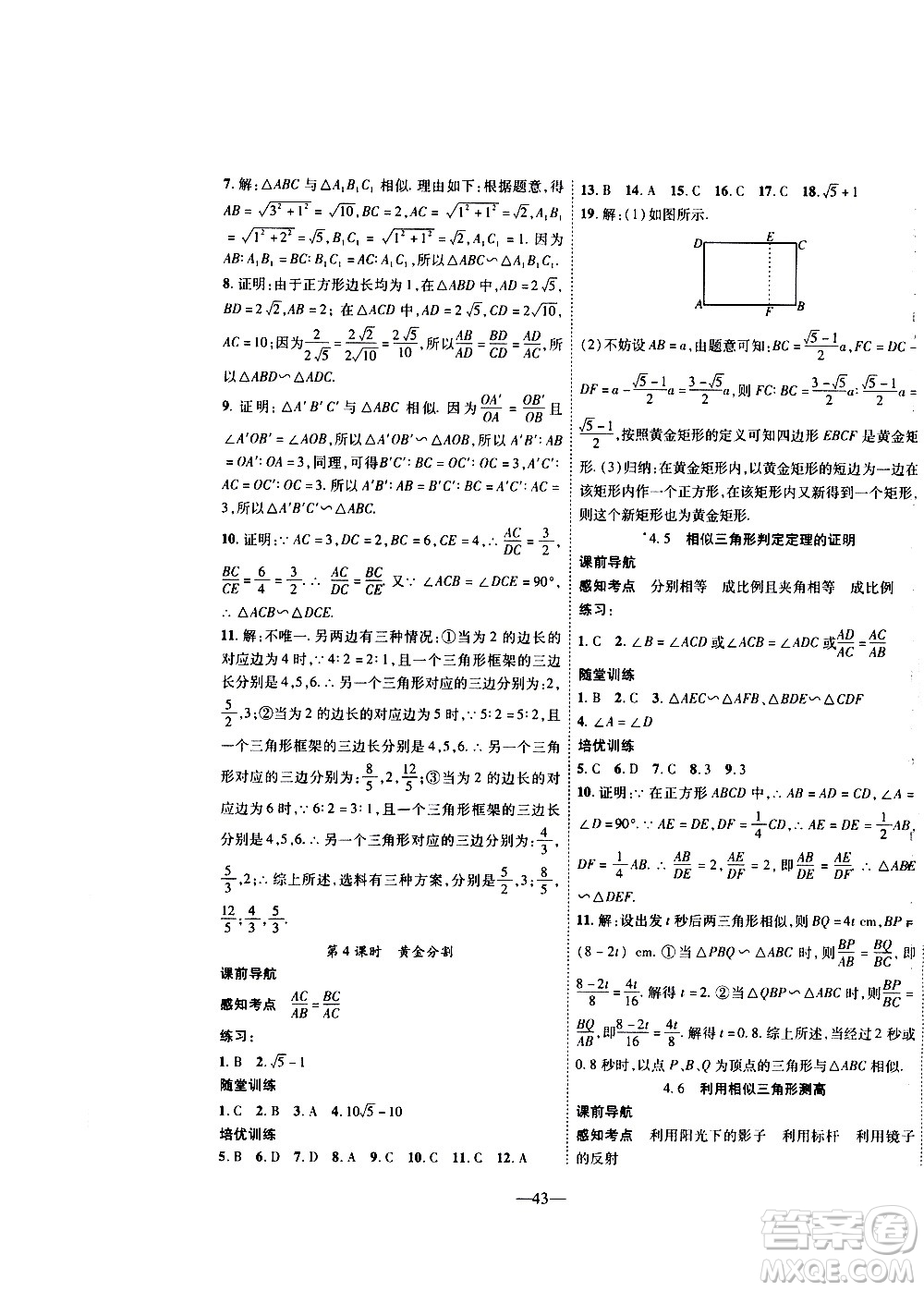 2020年新課程成長資源課時精練數(shù)學九年級上冊北師大版答案