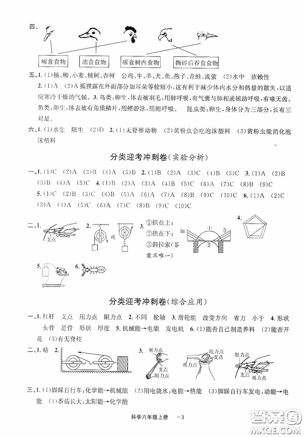 寧波出版社2020浙江各地期末迎考卷六年級科學上冊冀教版答案