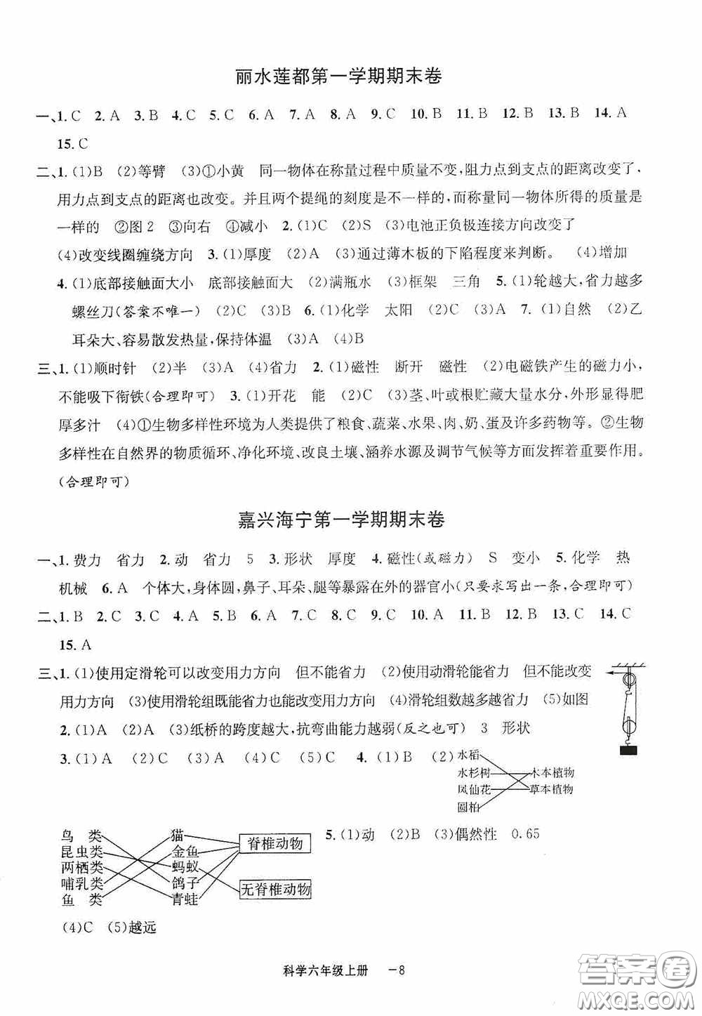 寧波出版社2020浙江各地期末迎考卷六年級科學上冊冀教版答案