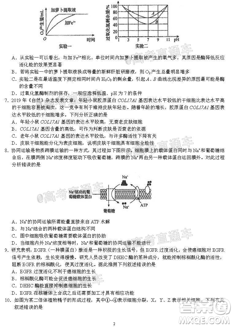 河北省衡水中學(xué)2021屆上學(xué)期高三年級二調(diào)考試生物試題及答案