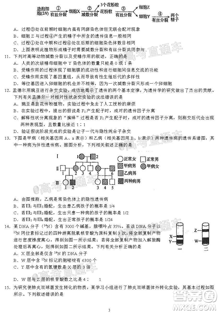 河北省衡水中學(xué)2021屆上學(xué)期高三年級二調(diào)考試生物試題及答案