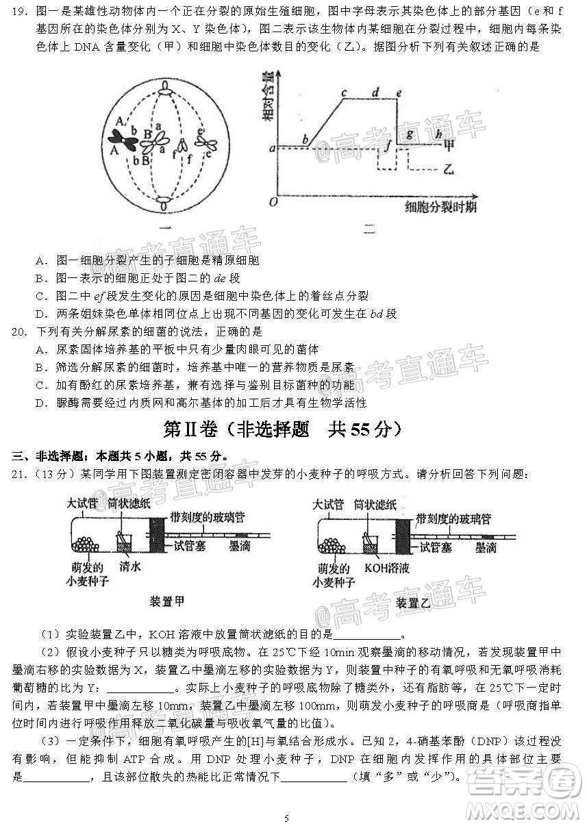 河北省衡水中學(xué)2021屆上學(xué)期高三年級二調(diào)考試生物試題及答案