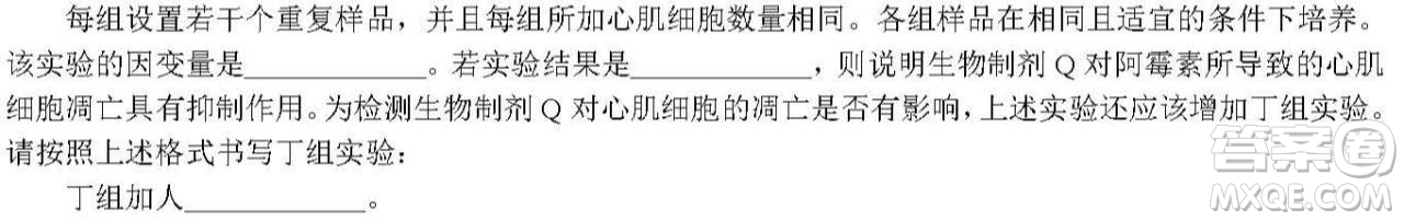 河北省衡水中學(xué)2021屆上學(xué)期高三年級二調(diào)考試生物試題及答案